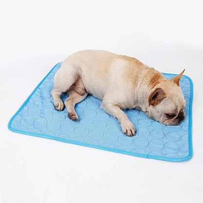 PawFreeze Mat - Be Cool, Be Safe, Be Healthy!